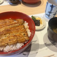 東京竹葉亭 南御堂店 - 
