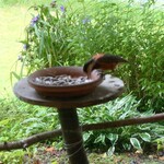 くつきそば 永昌庵 - 