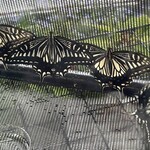 南房総 やまと寿司 - 