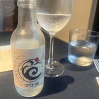 セルサルサーレ - 