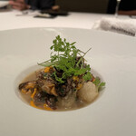 カンテサンス - 