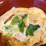 天竜そば ニュー藤屋 - 殿様そば定食のカツ丼