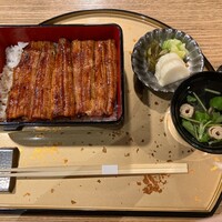 うなぎ 目白ぞろ芽 - 