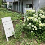 玉川上水のぷりん屋 - 