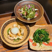 鳥きよ - 