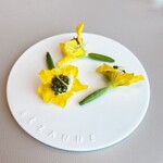 SEZANNE - きゅうりの花　北海道産帆立　オシェトラキャビア