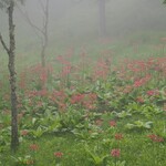マナスル山荘 天文館 - 