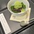 IORI - 料理写真: