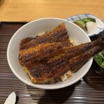 304458830 - 上うなぎ丼