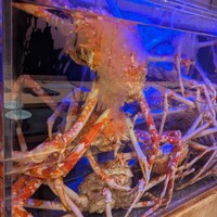 湘南沖地蟹専門店ふじ月 - 