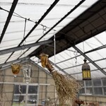 Les 3 loges Gourmandises - 