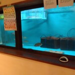 ささいずみ - 生簀