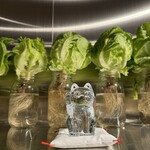 시스이 야키니쿠 HAKU