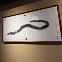 新宿うな鐵 はなれ - 