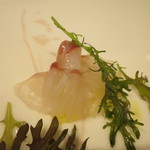 ラルテ沢藤 - スズキのカルパッチョ