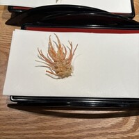 天ぷら 美やま - 