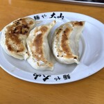 青竹手打ちラーメン 麺や 大山 - 手包み餃子