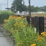 喫茶　来夢来人 - 