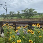 喫茶　来夢来人 - 