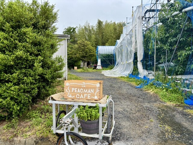 PEACHMAN CAFE（ピーチマン カフェ） - 桜水（かき氷）の写真