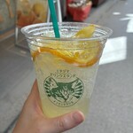 ネコモシャクシモ - 