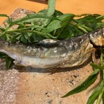 浅草じゅうろく - 