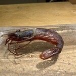 荻窪 天沼 おちあい - 