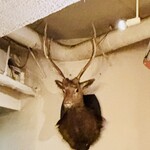 横浜馬車道 旬の肉料理イタリアン オステリア・アウストロ - 内観　鹿の剥製　こちらを見つめていますよ(^_^;)