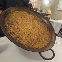 anchoa - 