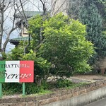 トラットリア セレーノ - 