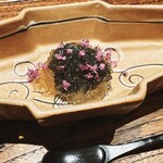 神楽坂 石かわ - 富山　白海老
      とんぶりもどき(キャビア)
      花穂