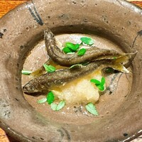 神楽坂 石かわ - 長野 天竜川　稚鮎
                    大根荒おろし 木の芽