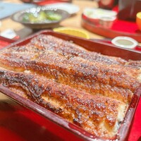 炭焼 うな富士 有楽町店 - 