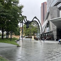 ダルマット 六本木ヒルズ店 - 