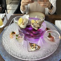 スミレオオサカ - 