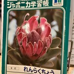 文房具居酒屋 どろぼう堂 - 