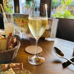 フィーコディンディア - 