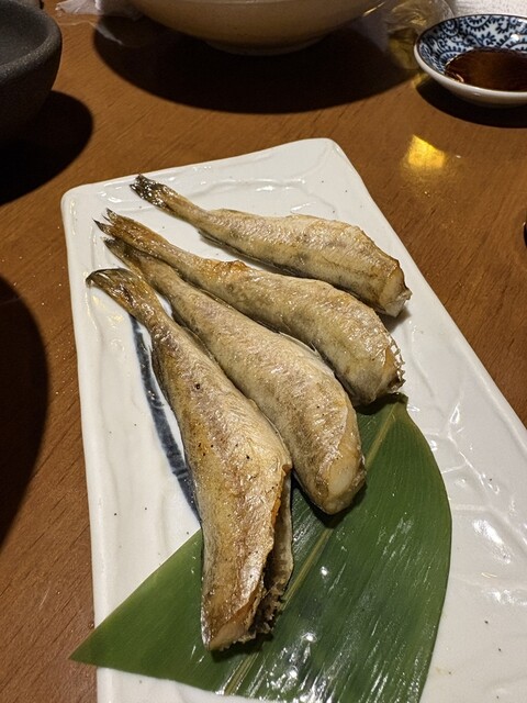 Ishikari Gawa photo 3