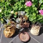 不二ドライブイン - 