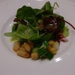 アンティカ オステリア カルネヤ - 前菜　サラダ