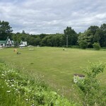 豚丼カフェばっくやーど - ドッグラン