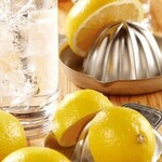 Freshly Squeezed Lemon Sour