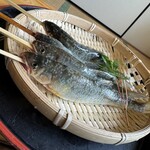 Gokigen San - 