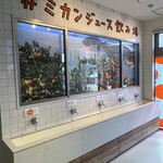 シン・エヒメ - 