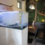 人と木 - 手前側にあった水槽は、奥の個室側に移動。