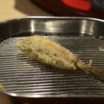 てんぷら 深町 - めごち