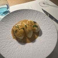 Loiseau de France - 