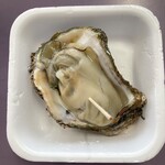 土田水産 - 道川産天然岩ガキ(1,000円)