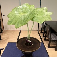 奥貴船 兵衛 - 