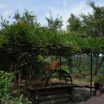 畑の詩 ジャワの風